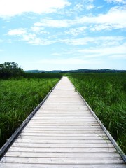 The boardwalk
