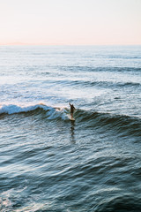 Naklejka premium Adult man surfing on a long board during sunset