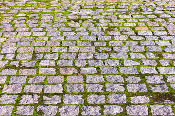 The street is covered with gray paving stones. Seams overgrown with green moss. texture of old...