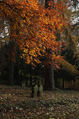 Friedhof Soldatenfriedhof