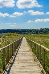 Wooden walkway immersed in the green of the countryside