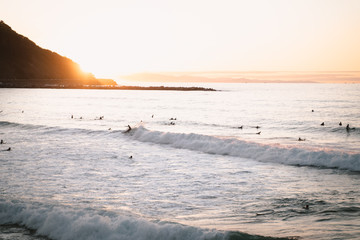 Fototapeta premium Surfers riding waves on Zurriola Beach in San Sebastian during sunset