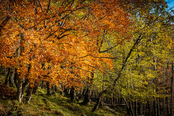 Trekking from Pontito to Penna di Lucchio, Lucca - Tuscany