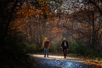 Fototapeta premium Trekking from Pontito to Penna di Lucchio, Lucca - Tuscany