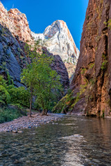 zion narrows