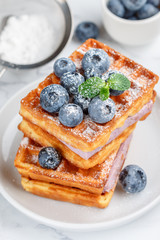 Traditional homemade Belgian (Viennese) waffles with fresh berries, blueberry souffle and powdered sugar. Delicious breakfast. Selective focus