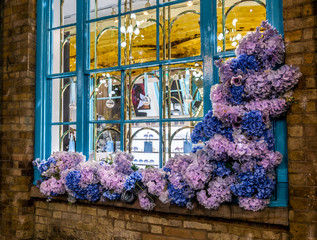 Fototapeta na wymiar Beautiful window decorated in Christmas style with traditional flowers in Covent Garden, London