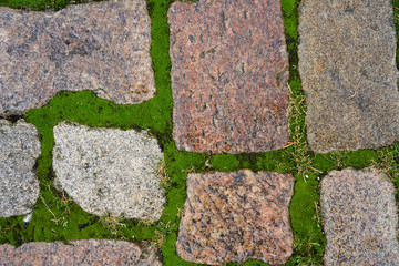 stone paving stones and green moss top view.
