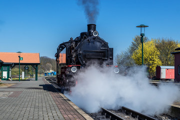 Fototapeta na wymiar Dampflok, Schmalspurbahn Rasender Roland, am Bahnsteig bei Ausfahrt in Putbus, Rügen
