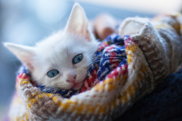 Blue angelic gaze