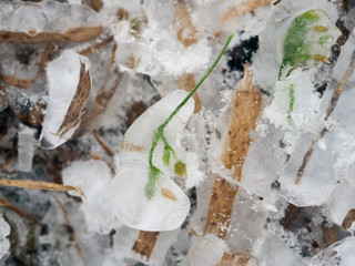 The grass in the field instantly froze and cold. An abnormal drop in temperature, a sharp change in...