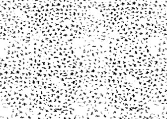 Rough black and white texture vector. Distressed overlay texture. Grunge background. Abstract textured effect. Vector Illustration. Black isolated on white background. EPS10.
