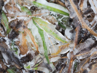 The grass in the field instantly froze and cold. An abnormal drop in temperature, a sharp change in the weather
