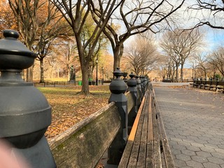 Take in the picturesque landscape of Central Park in thanksgiving day. Central Park is home to many famous attractions spread throughout its 843 acres of landscape. 