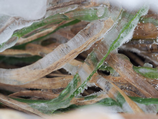 The grass in the field instantly froze and cold. An abnormal drop in temperature, a sharp change in the weather