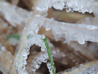 The grass in the field instantly froze and cold. An abnormal drop in temperature, a sharp change in the weather