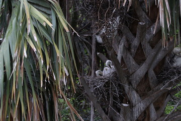 State Parks as Haven