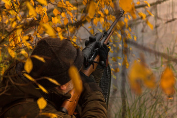a rifle with a telescopic sight. hunting in the forest