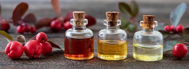 Panoramic header of essential oil bottles and fresh wintergreen