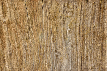 Dark wood texture background surface with old natural pattern