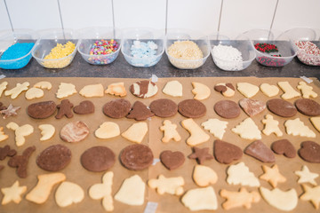 In der Weihnachtsbäckerei werden Plätzchen werden Bunt dekoriert  (Moody)