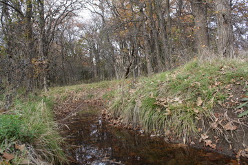 creek