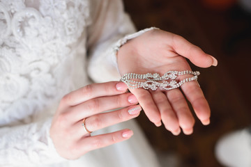 The bride wears a dress. Exquisite bride dress.