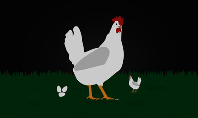 Farm Hen illustration