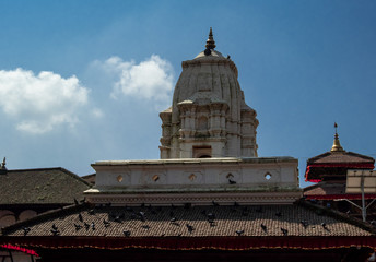 Pigeons sitting on the brown tiled roof of an ancient Hindu temple. Shikhara (peak) of the temple against the blue sky.