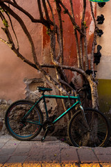 Fototapeta na wymiar Bicicleta verde amarrada estacionada en un árbol junto a muro viejo en pueblo