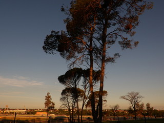 Atardecer en el parque