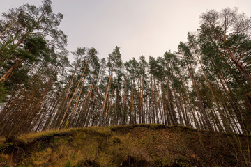 Wzgórza Sokólskie - Podlaska wieś - Krajobraz Podlasia, Polska © podlaski49