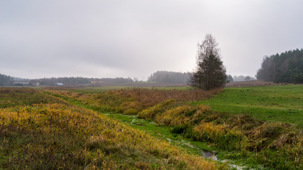 Wzgórza Sokólskie - Podlaska wieś - Krajobraz Podlasia, Polska © podlaski49