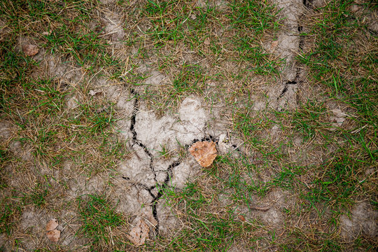 old dried cracked earth with dried grass