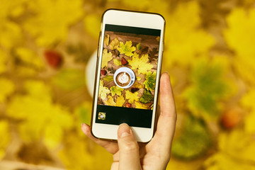 A girl photographs an autumn flatlay on her phone. Autumn flat lay composition with dry leaves 