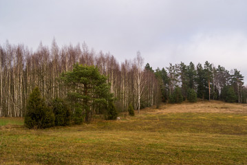 Wzgórza Sokólskie - Podlaska wieś - Krajobraz Podlasia, Polska