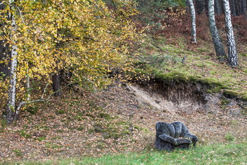 An armchair for the weary woodland wanderer