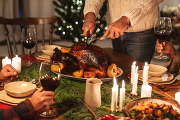 Cropped photo of caucasian people having Christmas dinner with turkey
