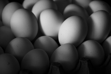 Conjunto de huevos blancos de gallina amontonados