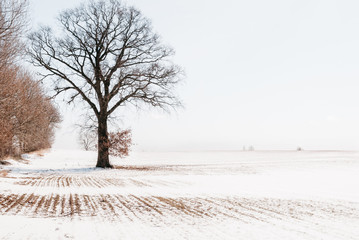 Winterlandschaft