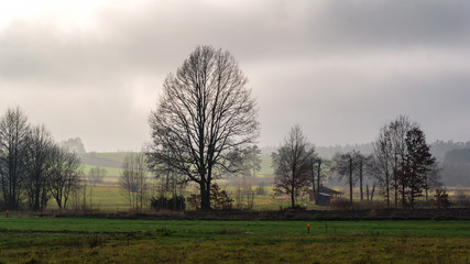 Wzgórza Sokólskie - Podlaska wieś - Krajobraz Podlasia, Polska © podlaski49