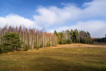 Wzgórza Sokólskie - Podlaska wieś - Krajobraz Podlasia, Polska © podlaski49