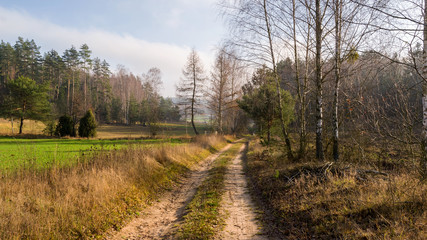 Wzgórza Sokólskie - Podlaska wieś - Krajobraz Podlasia, Polska © podlaski49
