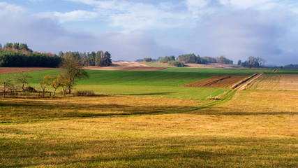 Wzgórza Sokólskie - Podlaska wieś - Krajobraz Podlasia, Polska © podlaski49