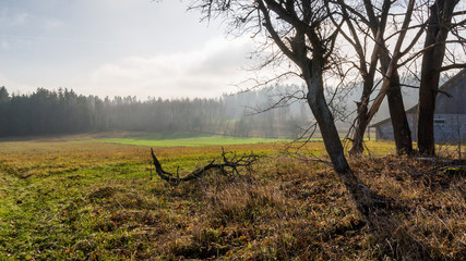 Wzgórza Sokólskie - Podlaska wieś - Krajobraz Podlasia, Polska © podlaski49