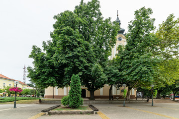 Fototapete bei efototapeten.de bestellen   