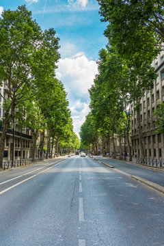 Boulevard Saint-Germain in Paris, France. The Boulevard Saint-Germain was the most important part of Haussmann's renovation of Paris (1850s and '60s) on the Left Bank. High Resolution Image.