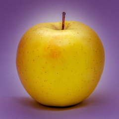 Yellow apple on a purple background