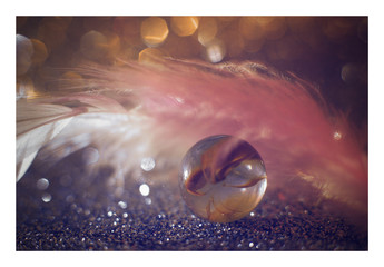 Abstract  macro blurred colorful background