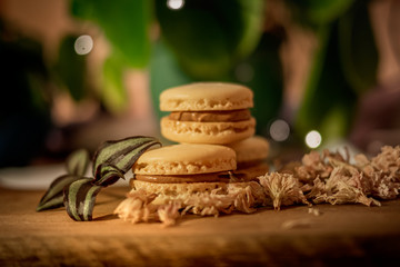 Tasty sweet macaroon cookies on wooden display